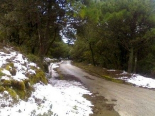  Naturaleza en invierno 